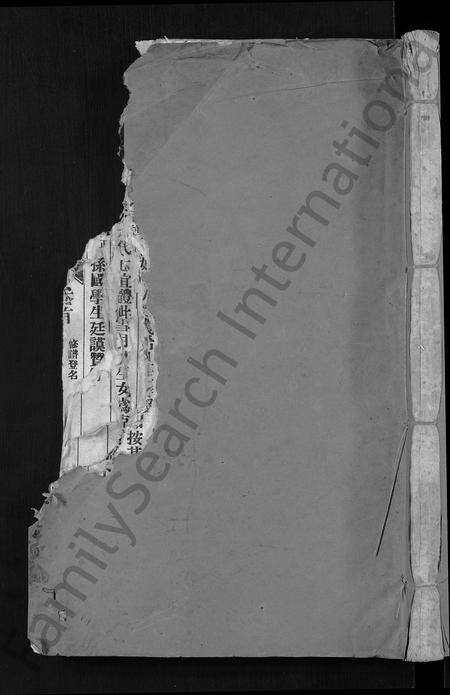 福建翁氏族谱-龙巖翁氏族谱 [19卷,首1卷].pdf电子版缩略图