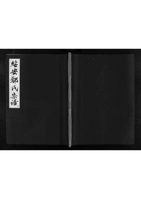 福建鄢氏族谱-绥安鄢氏宗谱 [16卷,含首1卷].pdf电子版缩略图
