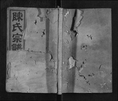 福建陈氏族谱-陈氏宗谱[34卷,首1卷].pdf电子版缩略图