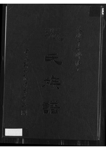 福建张氏族谱-汶水千十郎派下张氏族谱.pdf电子版缩略图