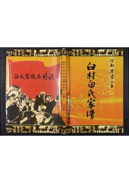 河南白氏族谱-白村白氏家谱.pdf电子版缩略图