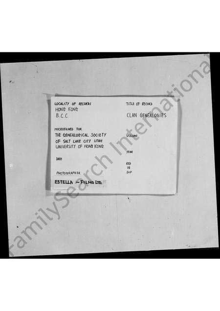 广东曾氏族谱-新界曾氏族谱.pdf电子版缩略图