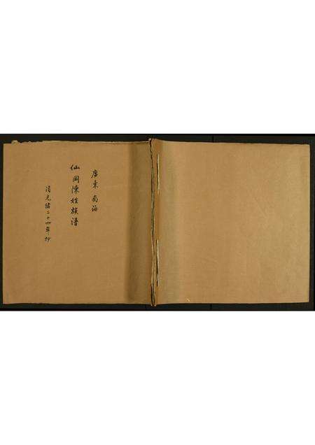 广东陈氏族谱-广东南海仙冈陈姓族谱.pdf电子版缩略图