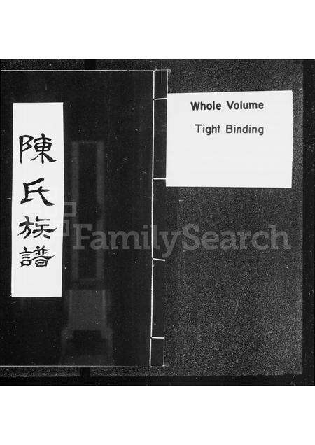 广东陈氏族谱-[颍川]陈氏族谱.pdf电子版缩略图