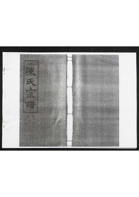 河南陈氏族谱-白云股陈氏宗谱.pdf电子版缩略图