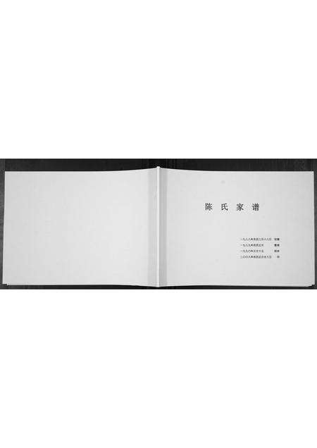 河南陈氏族谱-陈氏家谱[不分卷].pdf电子版缩略图