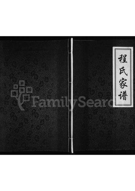 河南程氏族谱-程氏家谱.pdf电子版缩略图