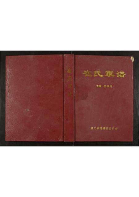 河南崔氏族谱-崔氏家谱.pdf电子版缩略图