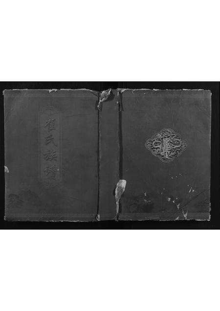 河南崔氏族谱-崔氏族谱.pdf电子版缩略图