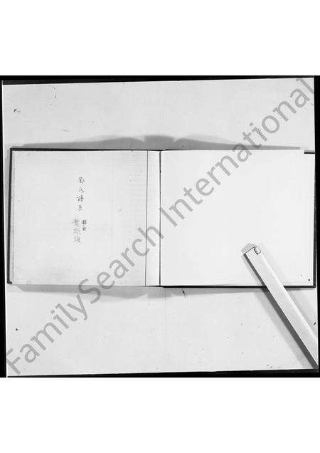 广东邓氏族谱-龙跃头邓氏谱系.pdf电子版缩略图