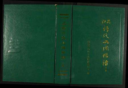 福建许氏族谱-高阳许氏入闽世谱.pdf电子版缩略图