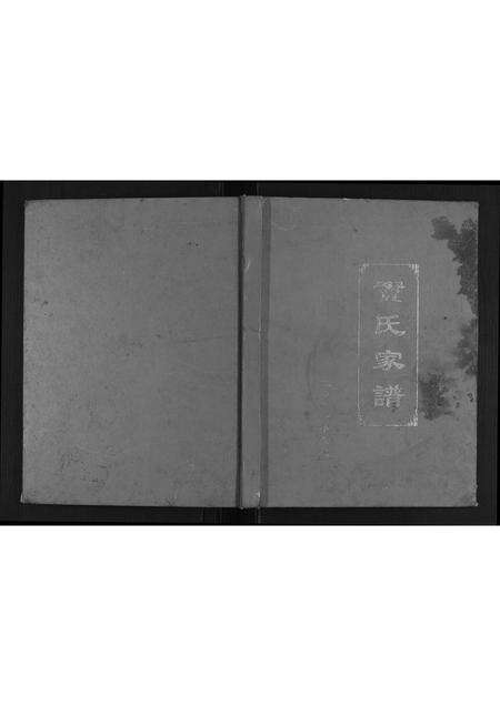 河南窦氏族谱-窦氏家谱.pdf电子版缩略图