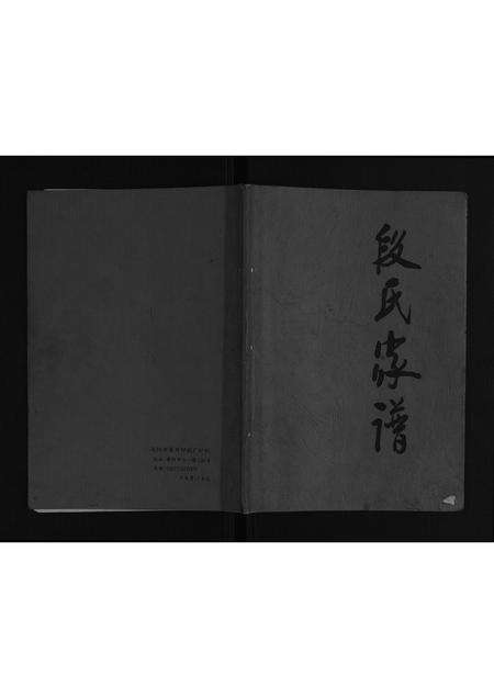 河南段氏族谱-段氏家谱[不分卷].pdf电子版缩略图