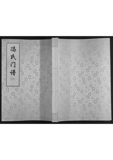 河南冯氏族谱-冯氏门谱[上下卷].pdf电子版缩略图