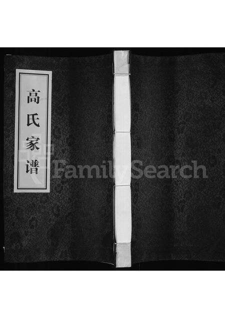 河南高氏族谱-高氏家谱.pdf电子版缩略图