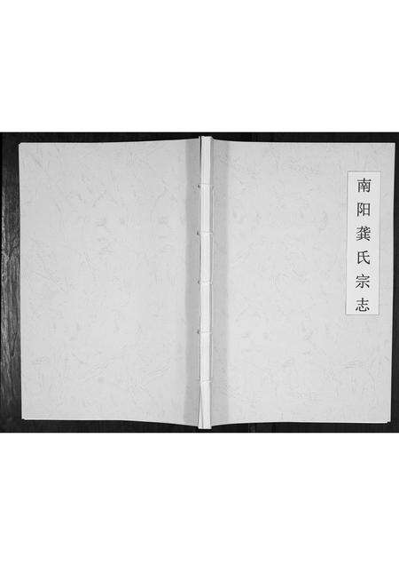 河南龚氏族谱-南阳龚氏宗志[不分卷].pdf电子版缩略图