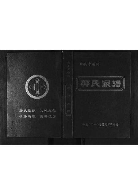 河南郭氏族谱-郭氏家谱.pdf电子版缩略图