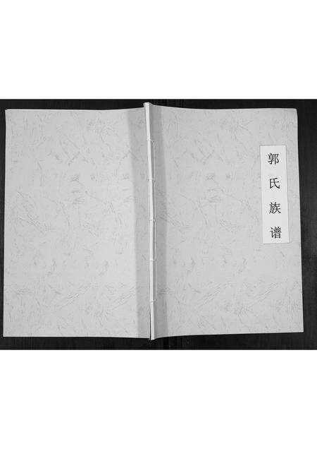 河南郭氏族谱-郭氏族谱[不分卷].pdf电子版缩略图