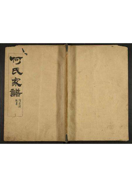 广东何氏族谱-何氏家谱.pdf电子版缩略图