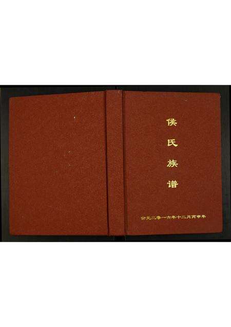 河南侯氏族谱-侯氏族谱.pdf电子版缩略图