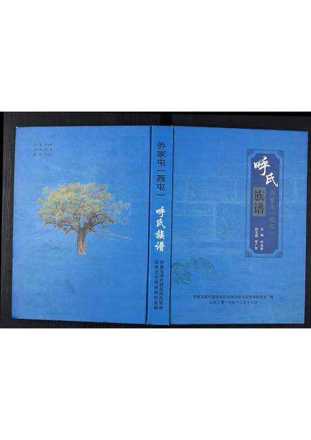 河南呼氏族谱-呼氏族谱[不分卷].pdf电子版缩略图