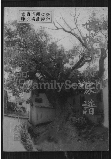 福建许氏族谱-世坂许氏家谱.pdf电子版缩略图