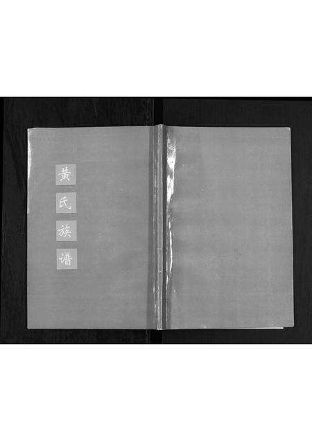 广东黄氏族谱-黄氏族谱.pdf电子版缩略图