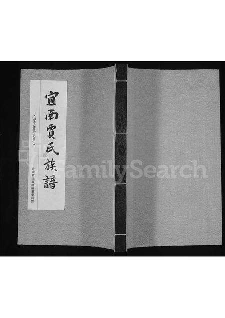 河南贾氏族谱-宜南贾氏族谱.pdf电子版缩略图