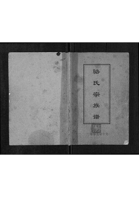 河南骆氏族谱-骆氏宗谱.pdf电子版缩略图