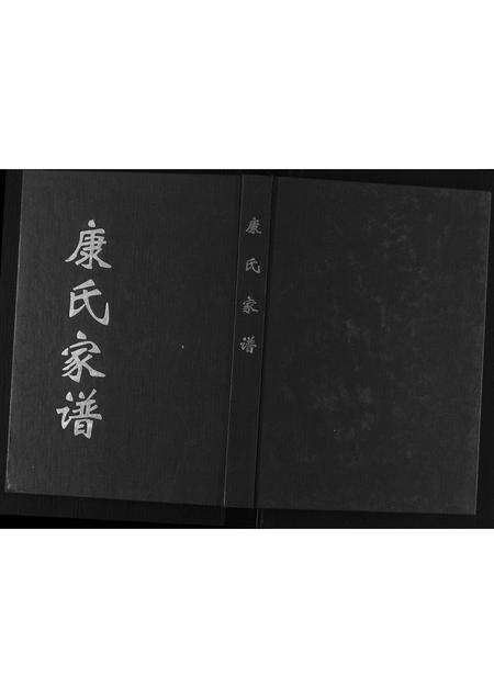 河南康氏族谱-康氏家谱.pdf电子版缩略图