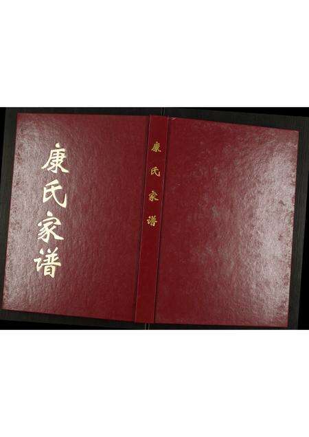 河南康氏族谱-康氏家谱.pdf电子版缩略图