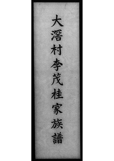 广东李氏族谱-大滘村李茂桂家族谱.pdf电子版缩略图