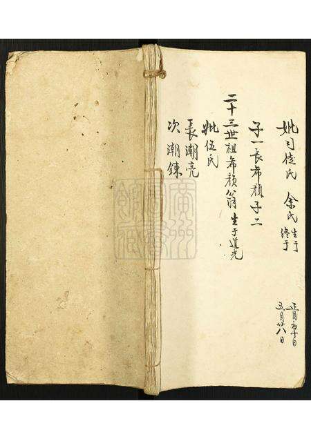 广东李氏族谱-[李氏]小族谱.pdf电子版缩略图