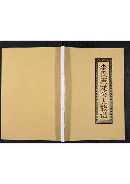 广东李氏族谱-李氏庚龙公大族谱.pdf电子版缩略图