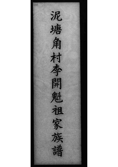 广东李氏族谱-泥塘角村李开魁祖家族谱.pdf电子版缩略图