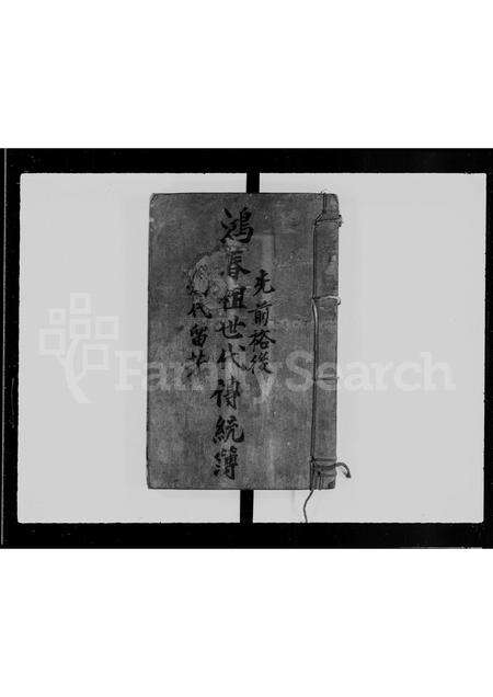 广东李氏族谱-鸿春祖世代传统簿.pdf电子版缩略图