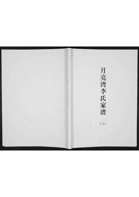 河南李氏族谱-月亮湾李氏家谱.pdf电子版缩略图