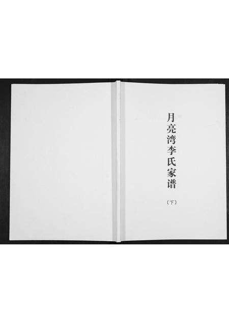河南李氏族谱-月亮湾李氏家谱[2册].pdf电子版缩略图