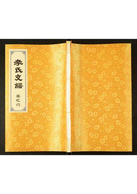 河南李氏族谱-李氏支谱.pdf电子版缩略图