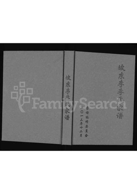 河南李氏族谱-坡东李李氏家谱 [不分卷].pdf电子版缩略图