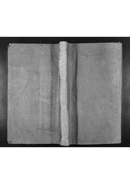 广东林氏族谱-广东嘉应州林氏族谱[不分卷].pdf电子版缩略图