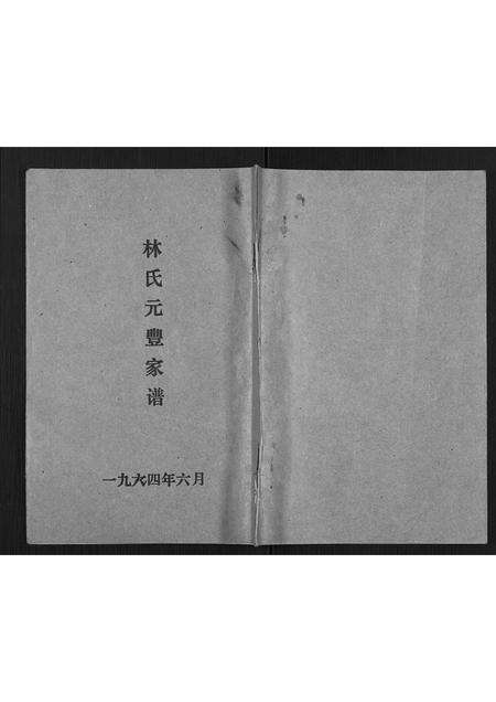 广东林氏族谱-林氏元丰家谱.pdf电子版缩略图