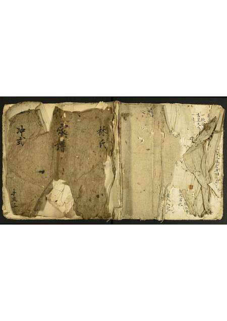 广东林氏族谱-冲式林氏家谱.pdf电子版缩略图