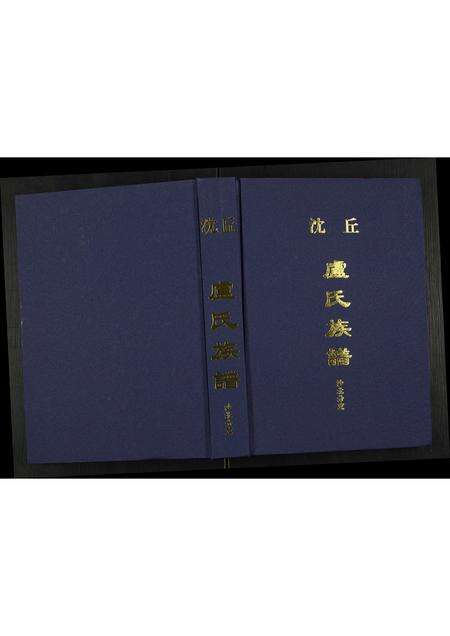 河南卢氏族谱-卢氏族谱沙北分支.pdf电子版缩略图