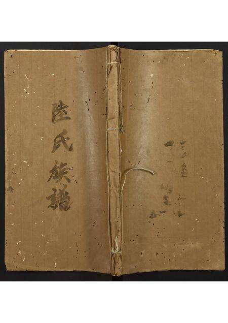 广东陆氏族谱-陆氏族谱.pdf电子版缩略图