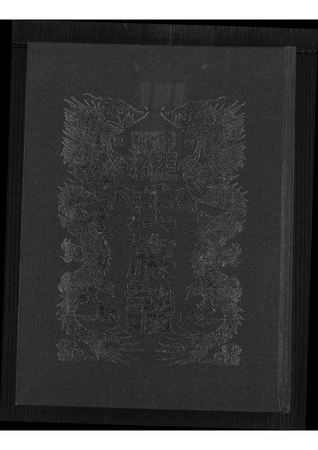 广东罗氏族谱-罗氏族谱.pdf电子版缩略图