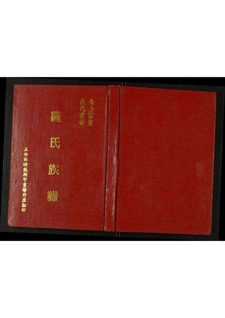 广东罗氏族谱-罗氏族谱.pdf电子版缩略图