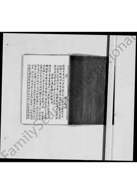 江西、广东罗氏族谱-罗氏历代族谱.pdf电子版缩略图