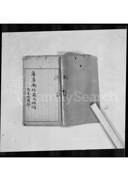 广东罗氏族谱-普宁南径罗氏族谱.pdf电子版缩略图