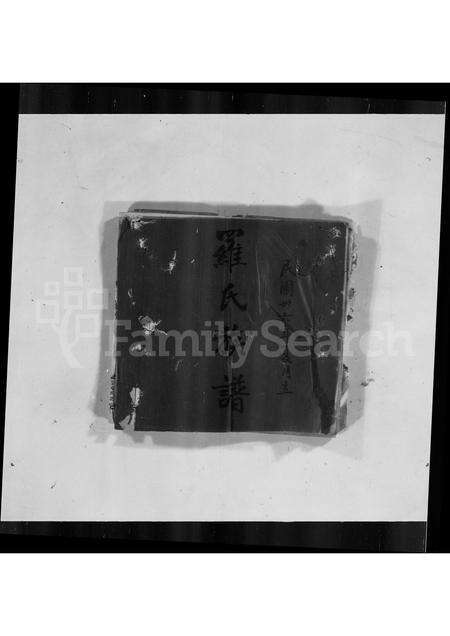 广东罗氏族谱-罗氏族谱.pdf电子版缩略图